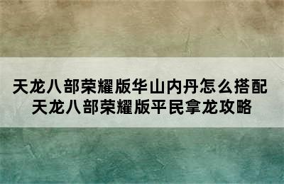 天龙八部荣耀版华山内丹怎么搭配 天龙八部荣耀版平民拿龙攻略